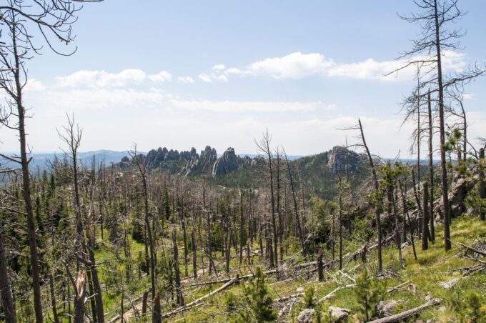 From Rapid City: Custer State Park Private Safari and Hiking - About the Private Tour