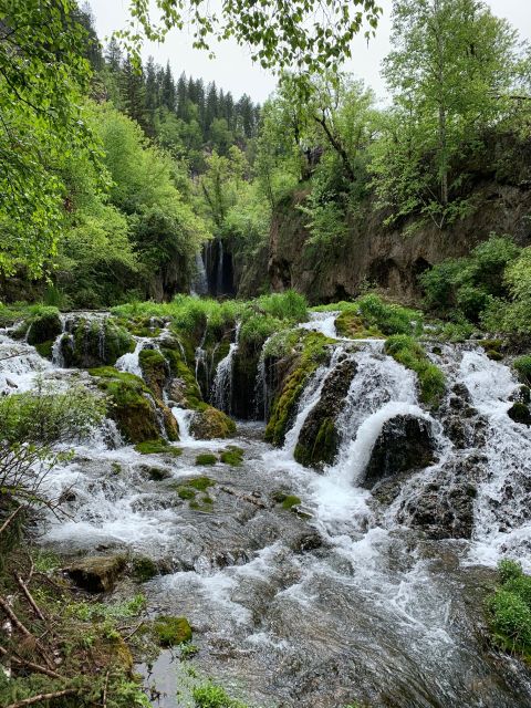 From Rapid City: Private Spearfish Canyon Tour - Customer Feedback