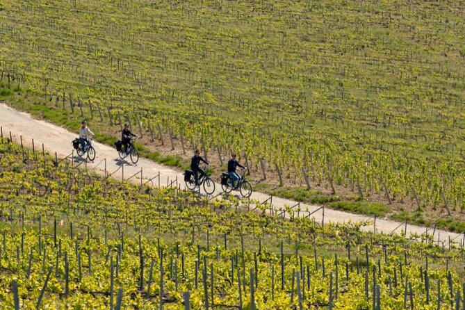 From Reims Afternoon E-Bike Tour, Visit and Champagne Tastings - Included Amenities