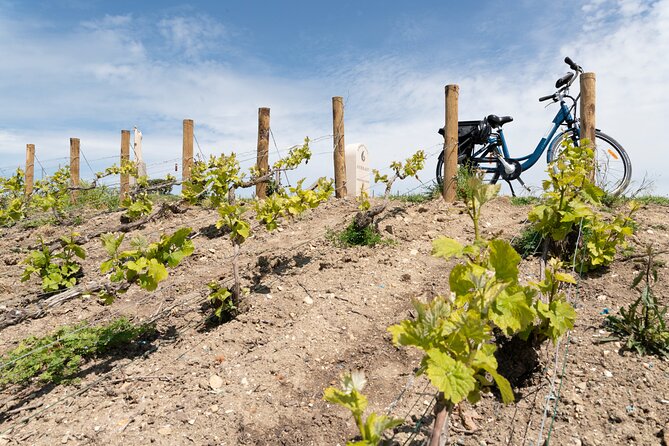 From Reims Afternoon E-Bike Tour, Visit and Champagne Tastings - Customer Feedback and Experiences