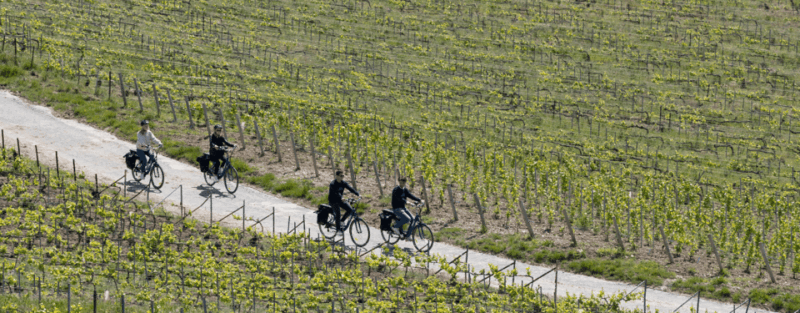 From Reims: Champagne Afternoon E-Bike Tour - Key Points