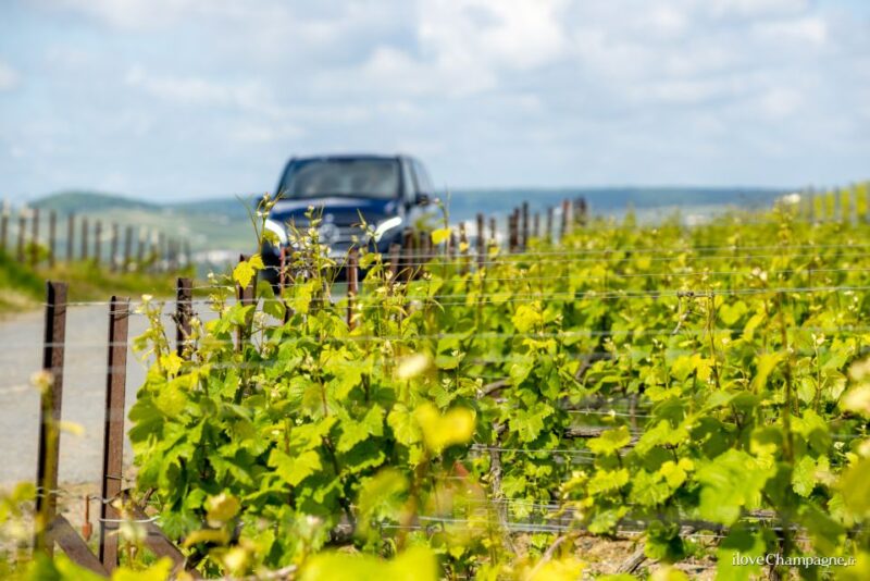 From Reims: Champagne and Family-Run Wineries Tour - Key Points