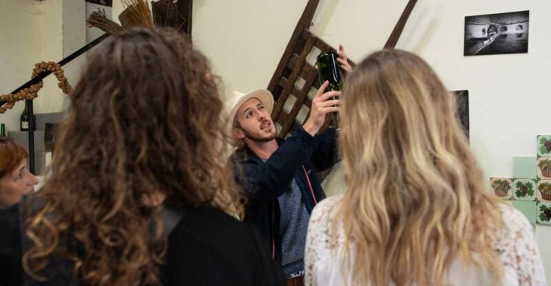 From Reims: Champagne and Family-Run Wineries Tour - Highlights