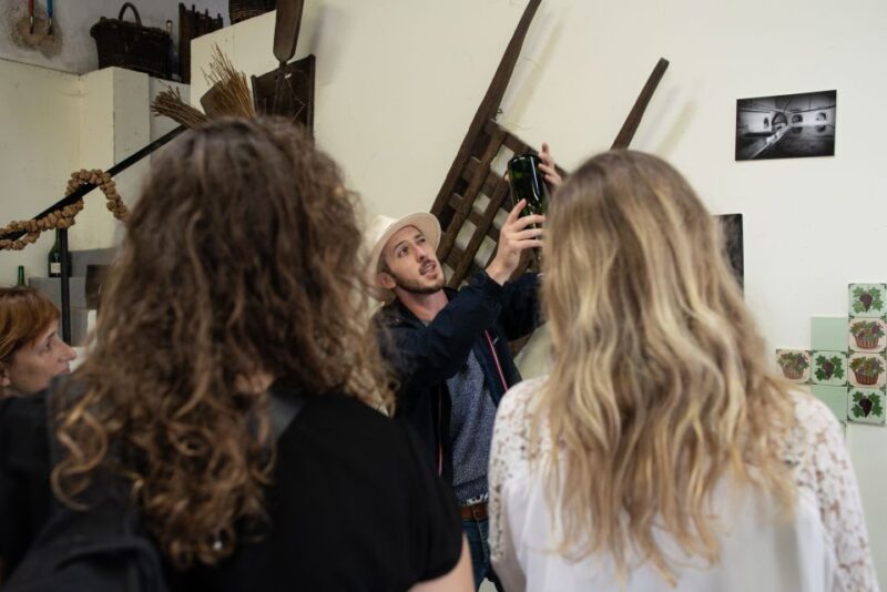 From Reims: Champagne and Family-Run Wineries Tour - Family-Run Wineries