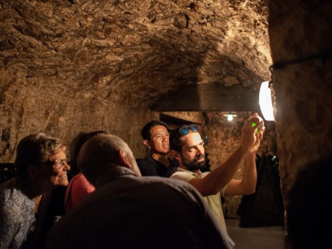 From Reims: Champagne and Family-Run Wineries Tour - Transportation and Accessibility