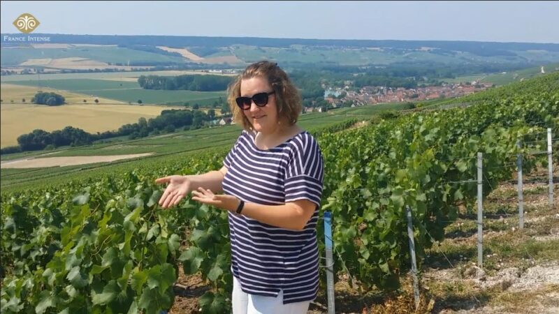 From Reims: Champagne Day Trip to Two Local Domains & Lunch - Exploring the Marne Valley