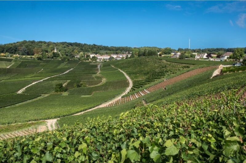 From Reims: Champagne Day Trip to Two Local Domains & Lunch - Lunch at a Local Restaurant