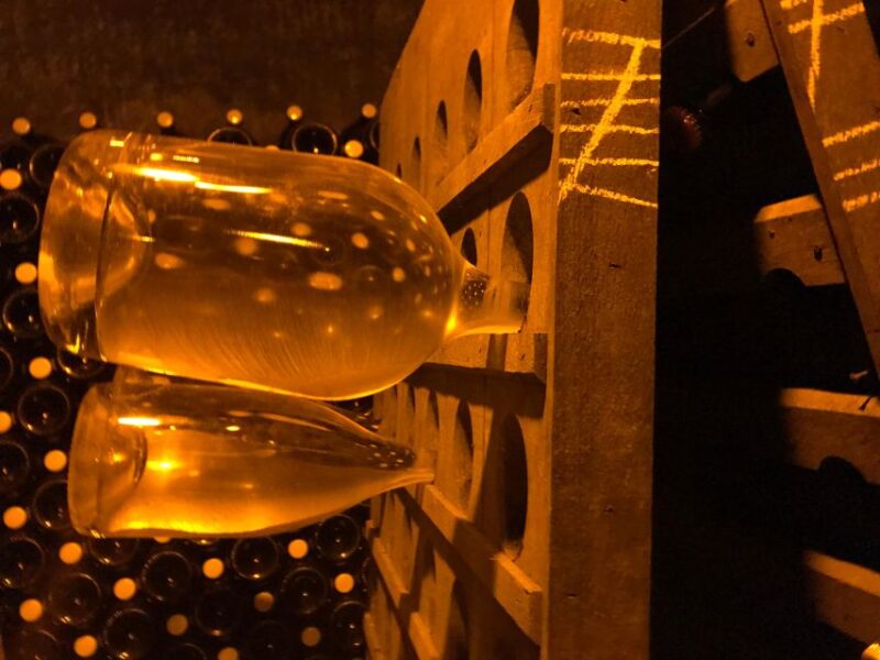 From Reims/Epernay: Champagne Half-Day Tour (Small Group) - Pickup and Drop-off