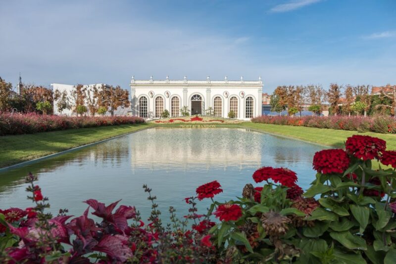 From Reims/Epernay: Private Gold Champagne Tasting Tour - Itinerary