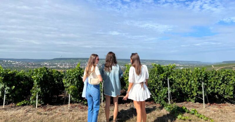 From Reims/Epernay: the Connoisseurs Private Tour 9 Tastings - Itinerary Highlights