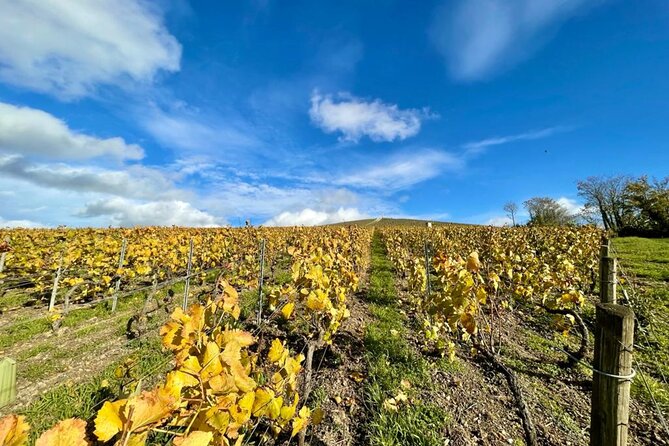 From Reims: Full Day Champagne Mumm, Family Growers & Lunch - Meeting and Pick-up Details