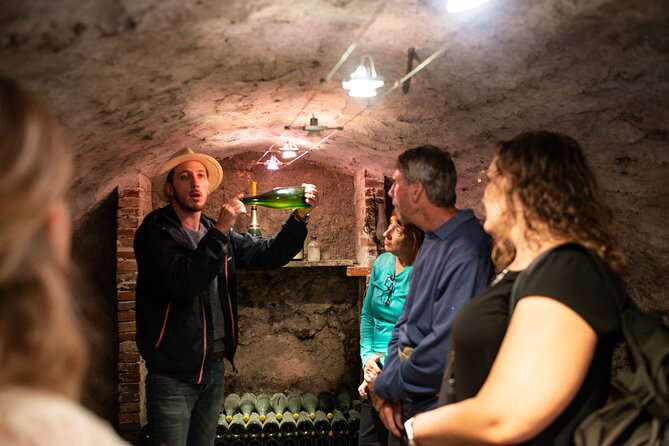 From Reims Full Day Electric Bike Champagne and Lunch - Champagne Tastings