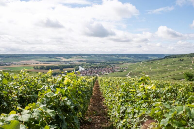 From Reims: Full Day Mumm, Family Growers With Lunch - Included Features