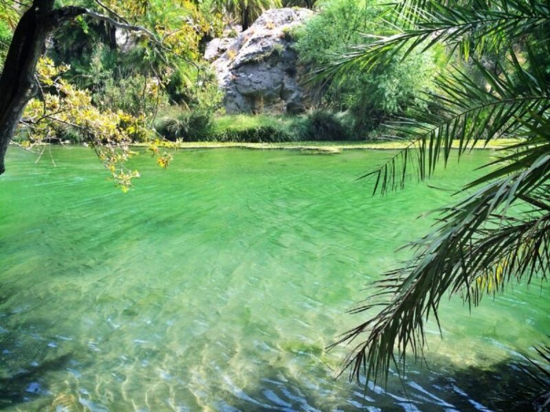 From Rethymno/Chania: Day Trip to Preveli Palm Beach - Key Points