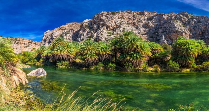 From Rethymno/Chania: Day Trip to Preveli Palm Beach - Kourtaliotiko Gorge Visit