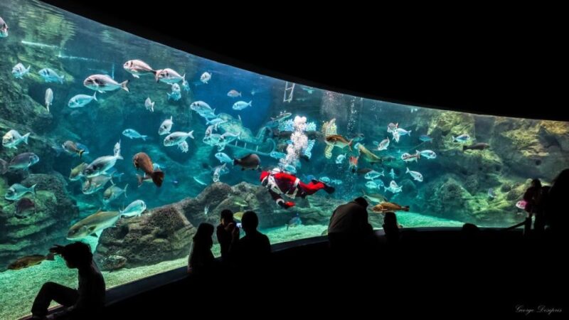 From Rethymno: Day Trip to Dinosauria Park and Cretaquarium - Key Points
