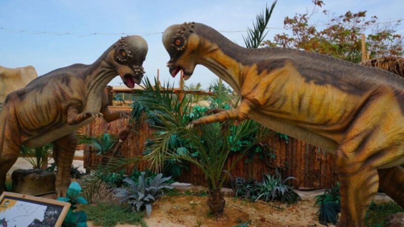 From Rethymno: Day Trip to Dinosauria Park and Cretaquarium - Immersive Dinosaur Experience