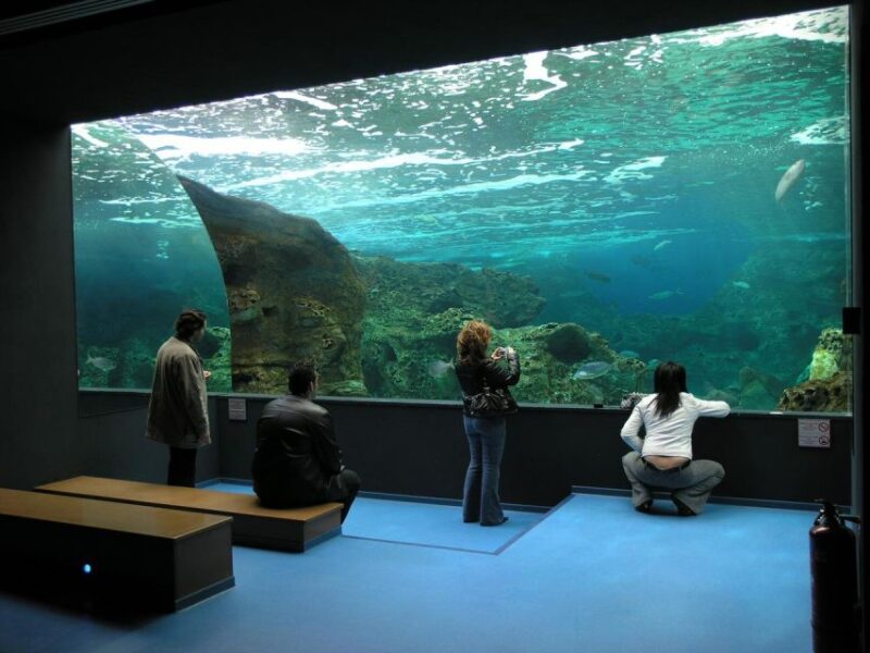 From Rethymno: Day Trip to Dinosauria Park and Cretaquarium - Certified Outdoor Playground