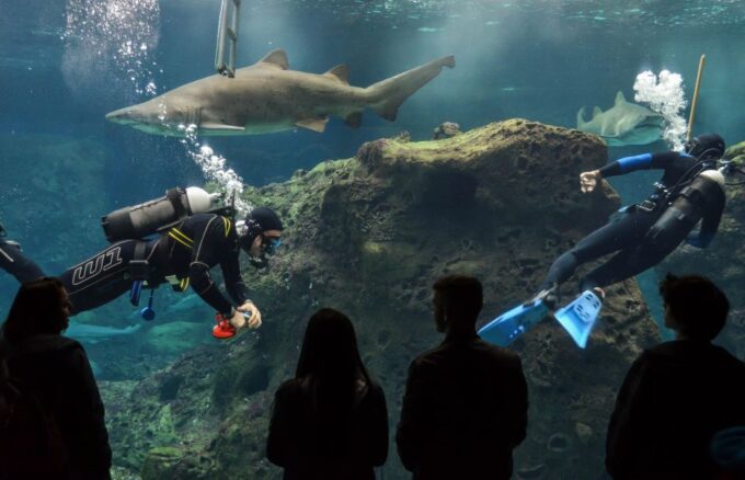 From Rethymno: Day Trip to Dinosauria Park and Cretaquarium - Frequently Asked Questions