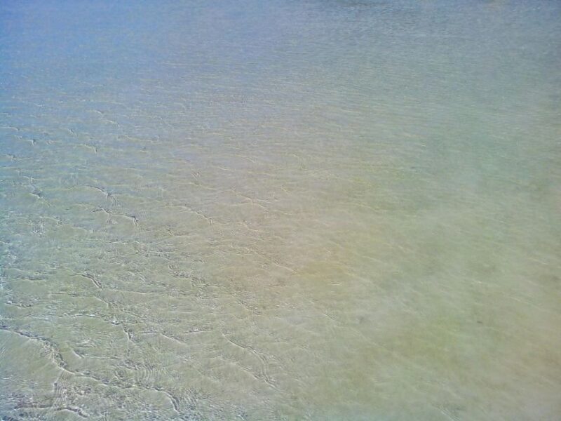 From Rethymno: Day Trip to ELAFONISI - Frequently Asked Questions
