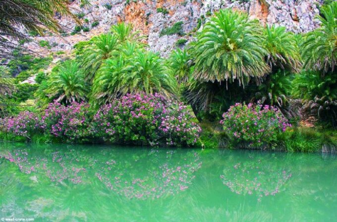From Rethymno: Day Trip to Preveli Palm Beach-Kourtaliotiko - Booking and Cancellation Policy