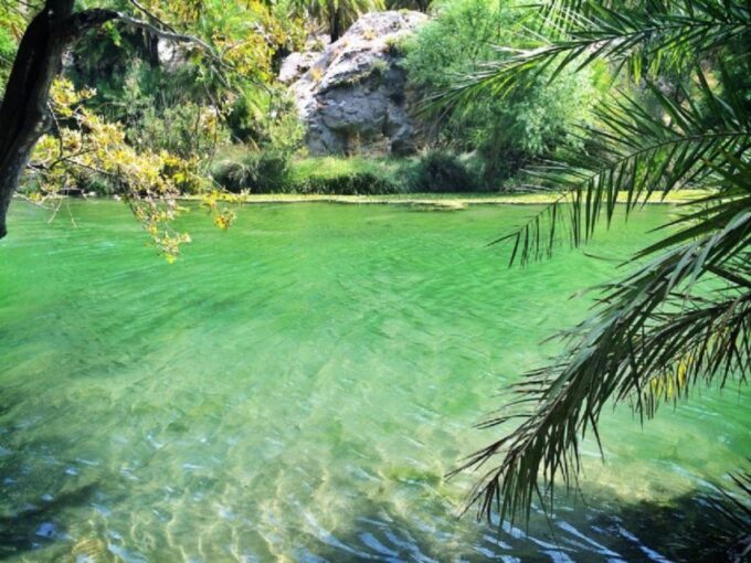 From Rethymno: Day Trip to Preveli Palm Beach-Kourtaliotiko - Getting to Preveli Palm Beach
