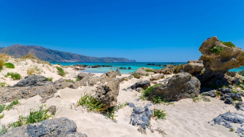 From Rethymno: Elafonisi Pink Sand Beach W/ Transfer - Key Points