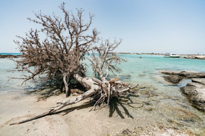 From Rethymno: Elafonissi Pink Sand Beach Tour PRIVATE - Additional Information