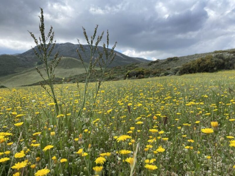 From Rethymno: Eleven Gates Hike on The Shepherds Path - Key Points