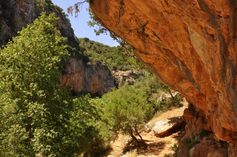 From Rethymno: Guided Day Trip to the South Coast - Itinerary and Highlights