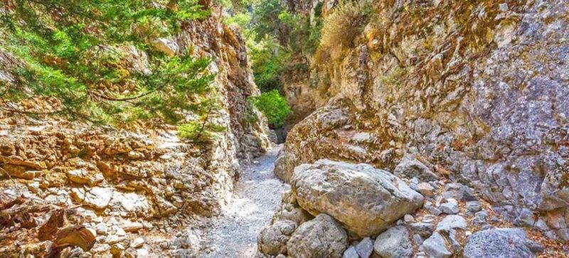 From Rethymno: Imbros Gorge & Libyan Guided Sea Tour - Tour Inclusions and Requirements