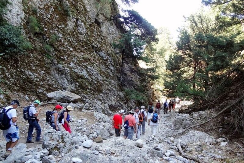 From Rethymno: Imbros Gorge & Libyan Guided Sea Tour - Important Booking Information