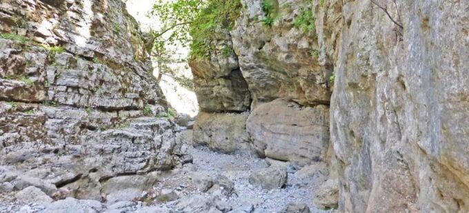From Rethymno: Imbros Gorge & Libyan Guided Sea Tour - Pickup and Transportation Details