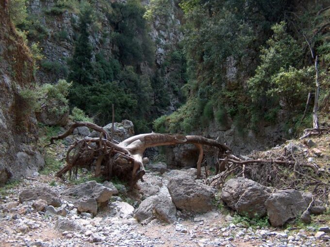 From Rethymno: Imbros Gorge & Libyan Guided Sea Tour - Libyan Sea Swim and Lunch