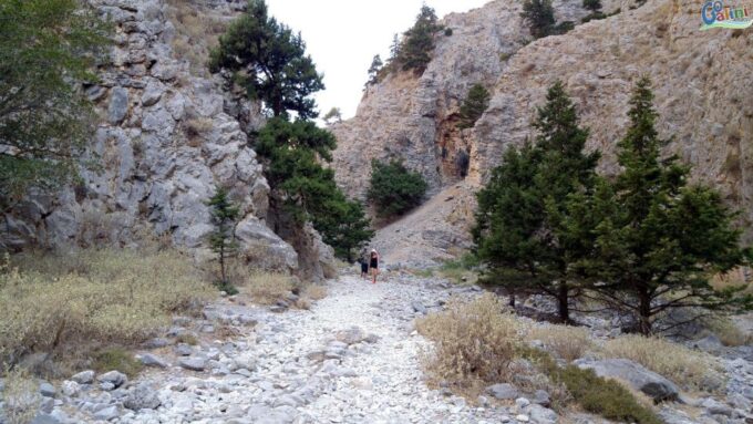 From Rethymno: Imbros Gorge & Libyan Guided Sea Tour - Frequently Asked Questions