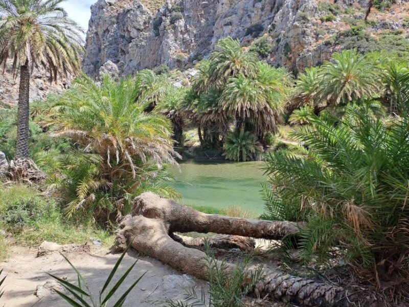 From Rethymno: Kourtaliotiko, Preveli Palm Beach, & Damnoni - Included and Additional Fees