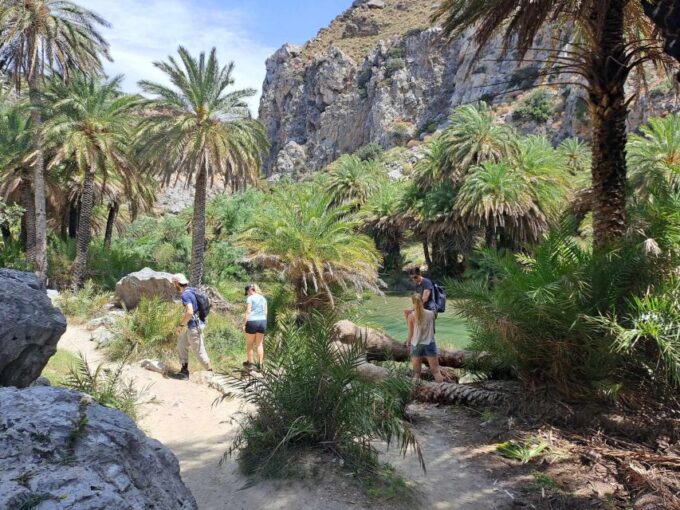From Rethymno: Kourtaliotiko, Preveli Palm Beach, & Damnoni - Activity Duration and Price