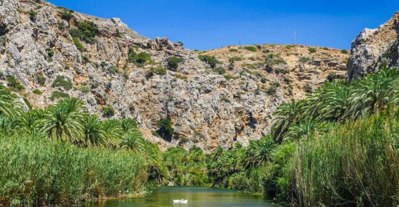 From Rethymno: Preveli Palm Forest, Damnoni and Plakias Tour - Key Points