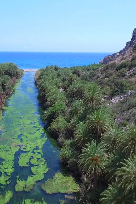 From Rethymno: Preveli Palm Forest, Damnoni and Plakias Tour - Pickup Locations