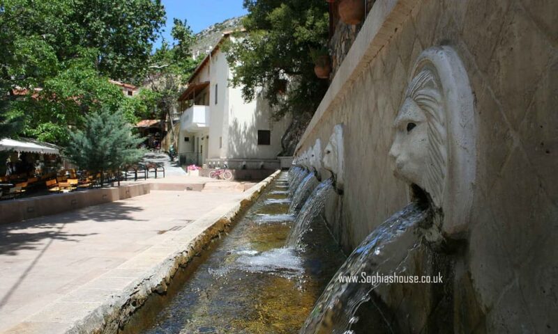From Rethymno: Preveli Palm Forest, Damnoni and Plakias Tour - Inclusions