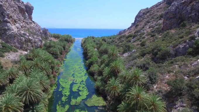 From Rethymno: Preveli Palm Forest, Damnoni and Plakias Tour - Tour Exclusions
