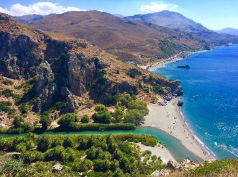 From Rethymno: Preveli Palm Forest Hike and Beach Day Trip - Highlights of the Tour