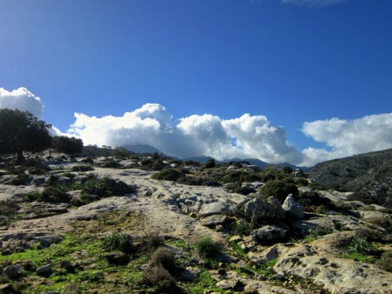 From Rethymno: Private Day Trip to 2 Unknown Gorges & Snacks - Discovering Untouched Nature