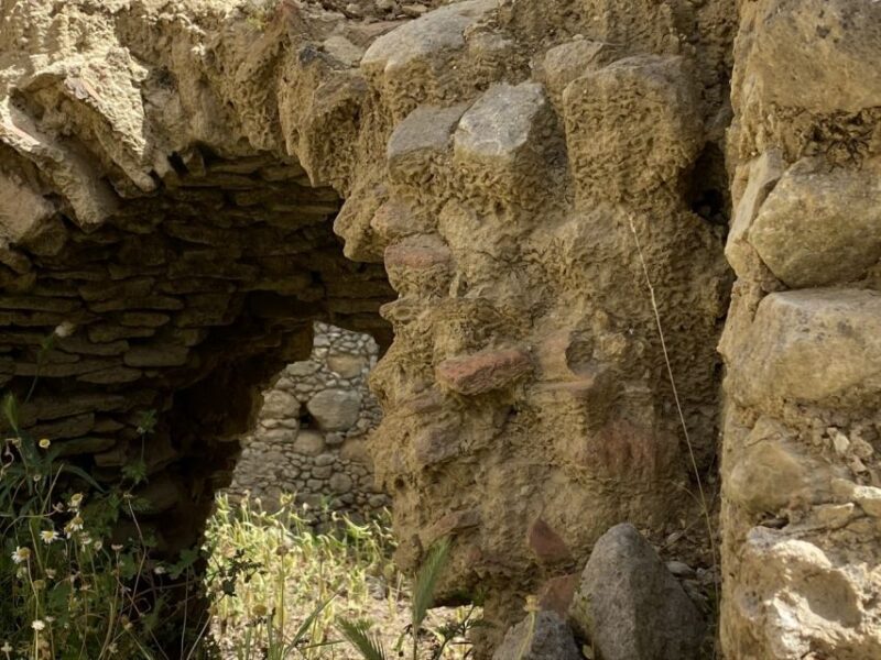 From Rethymno: Private Day Trip to 2 Unknown Gorges & Snacks - Cretan Flora and Fauna