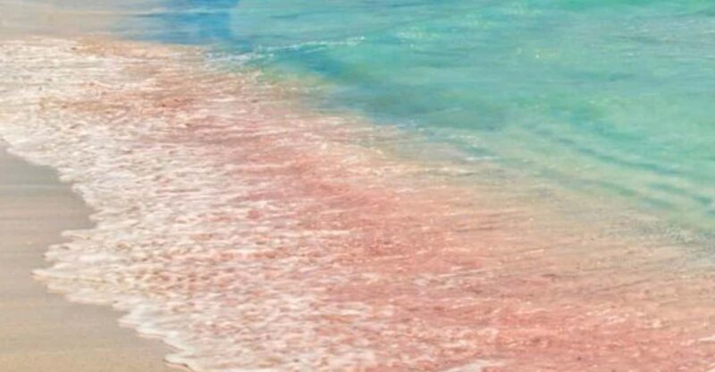 From Rethymno: Trip to Balos Lagoon and Elafonisi Pink Beach - Transportation and Logistics