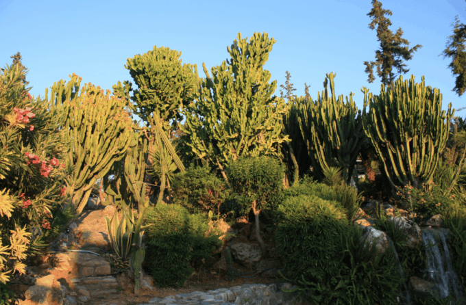 From Rethymno: Waterpark Adventure With Bus Transfer - Cancellation Policy