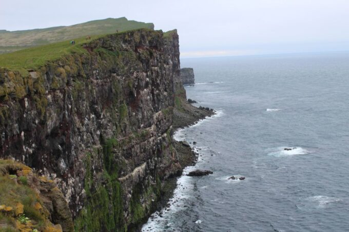 From Reykjavík: 3-Day Tour of the Wild Westfjords - Customer Reviews