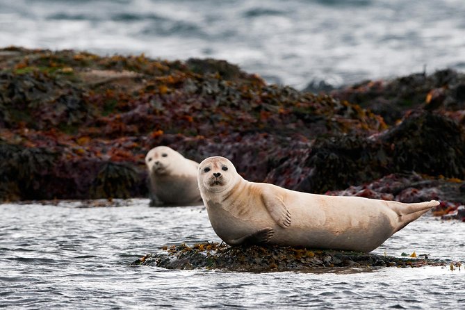 From Reykjavík: 4, 5, 6 or 7-Day Small-Group Ring Road Tour - What to Expect