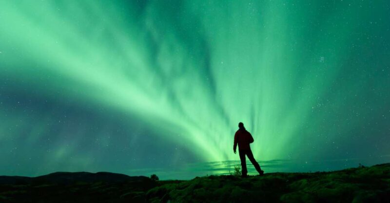 From Reykjavik: Blue Lagoon and Northern Lights Tour - Itinerary and Schedule