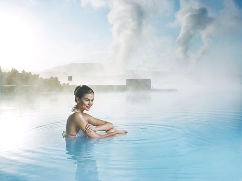 From Reykjavik: Blue Lagoon and Northern Lights Tour - What to Expect